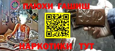 дмт Аргун