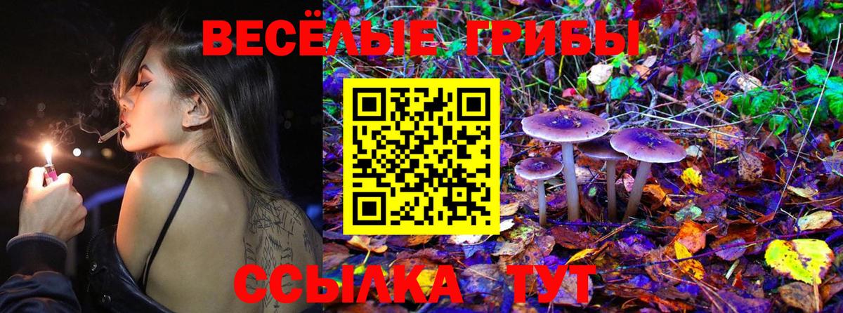 Псилоцибиновые грибы мицелий Аша