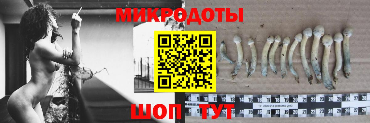 Галлюциногенные грибы мицелий  Псилоцибиновые грибы GOLDEN TEACHER  Вход с VPN  Аша 